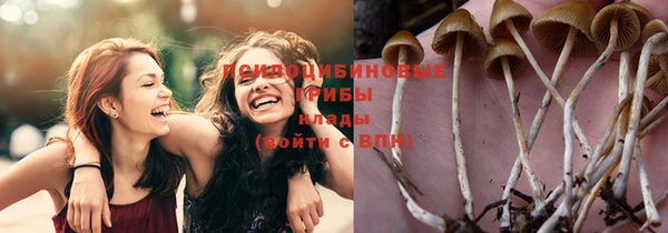 скорость Баксан