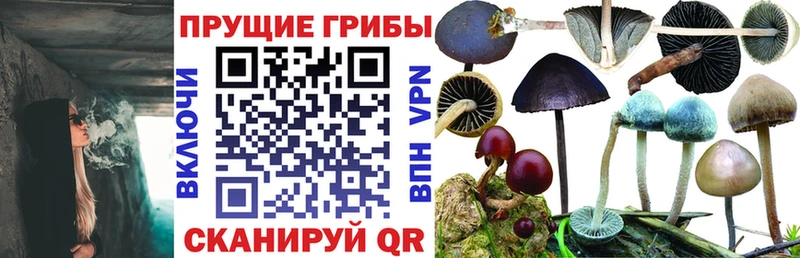 Галлюциногенные грибы ЛСД  Лагань 